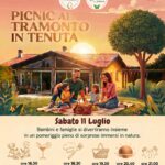 PICNIC AL TRAMONTO IN TENUTA